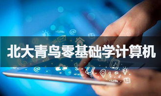 零基礎(chǔ)入門軟件開發(fā) 可能之路與學習指南